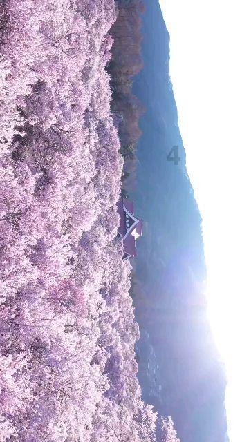 勇闯恶魔领域