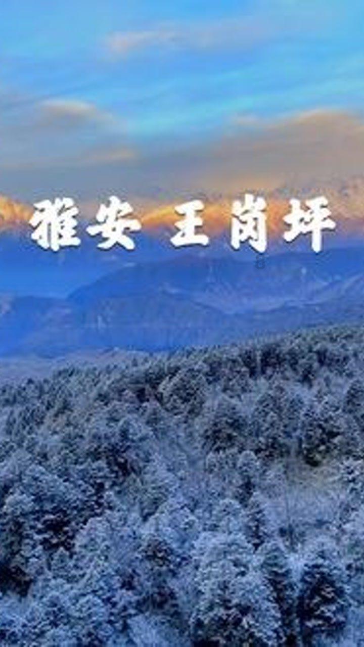 赛车计划2