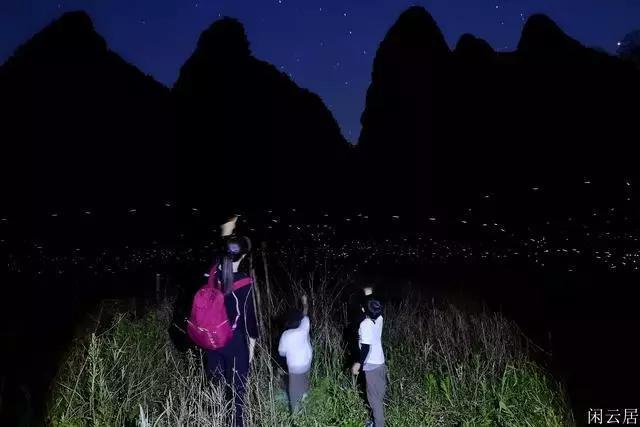 小猫钓鱼开船版最新版下载