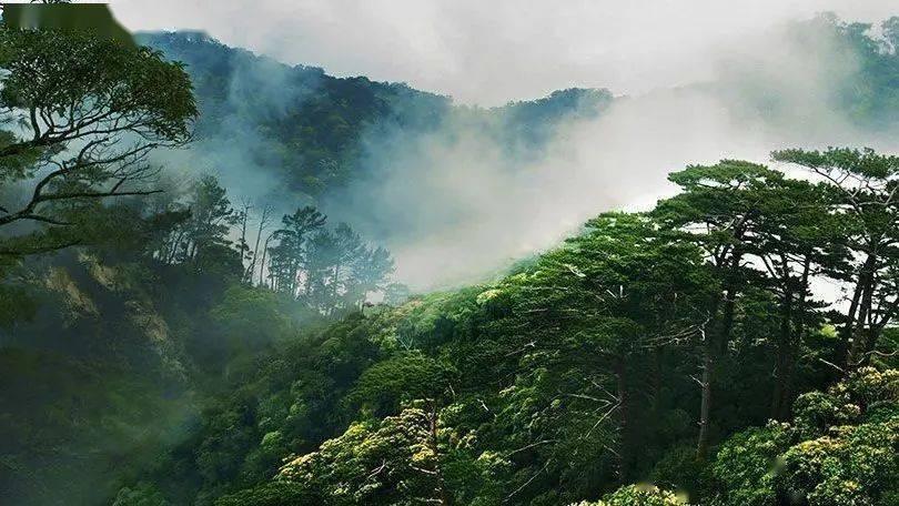 健康问太和 | 小儿肾积水如何及时发现及干预?