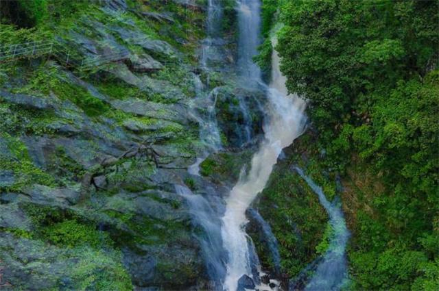 贵州省农业农村厅一行赴湄潭县核桃坝开展项目评估验收工作