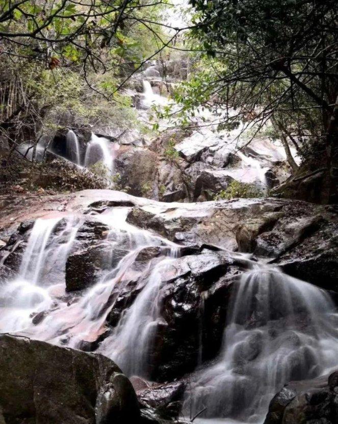 再次发声！马树山谈越级举报原因，称知道被陷害的滋味，无需赔偿
