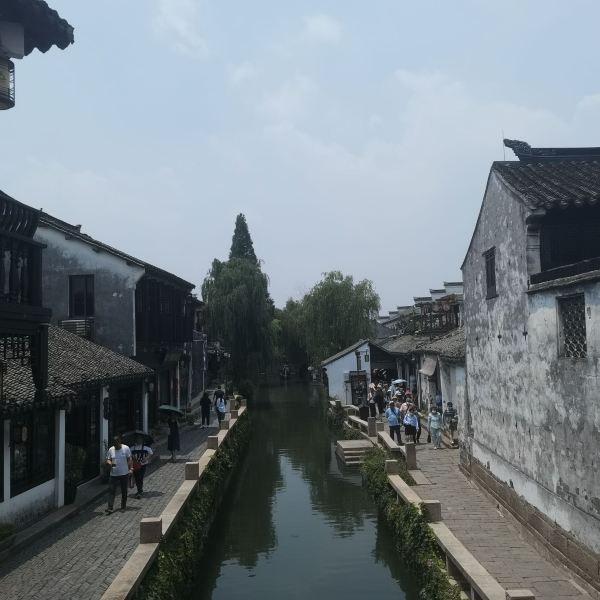 悲伤兔大冒险