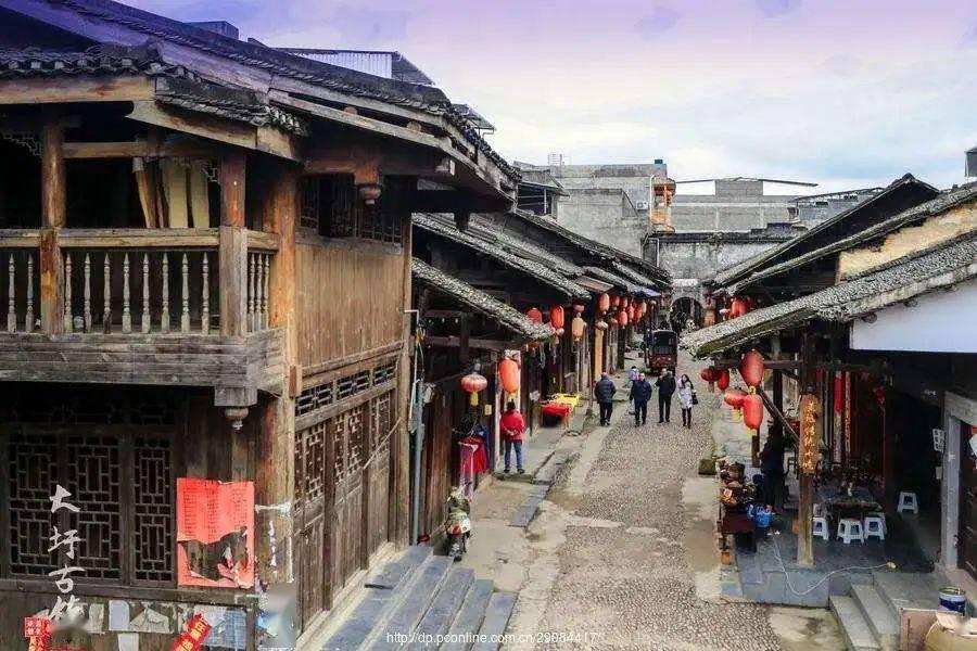 探探猫历险记